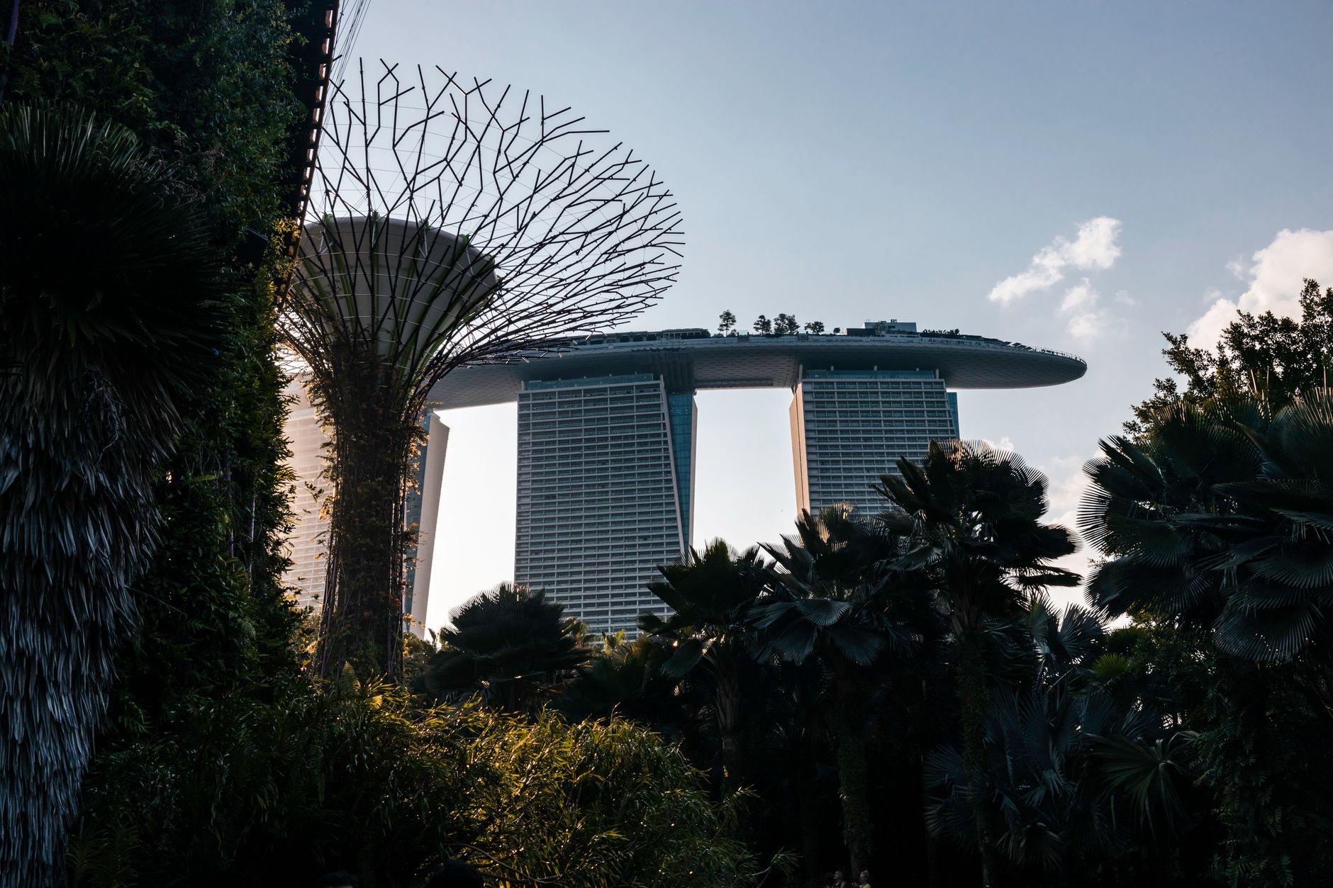 Urban skyline featuring Marina Bay Sands and Supertree Grove in Singapore's modern landscape.