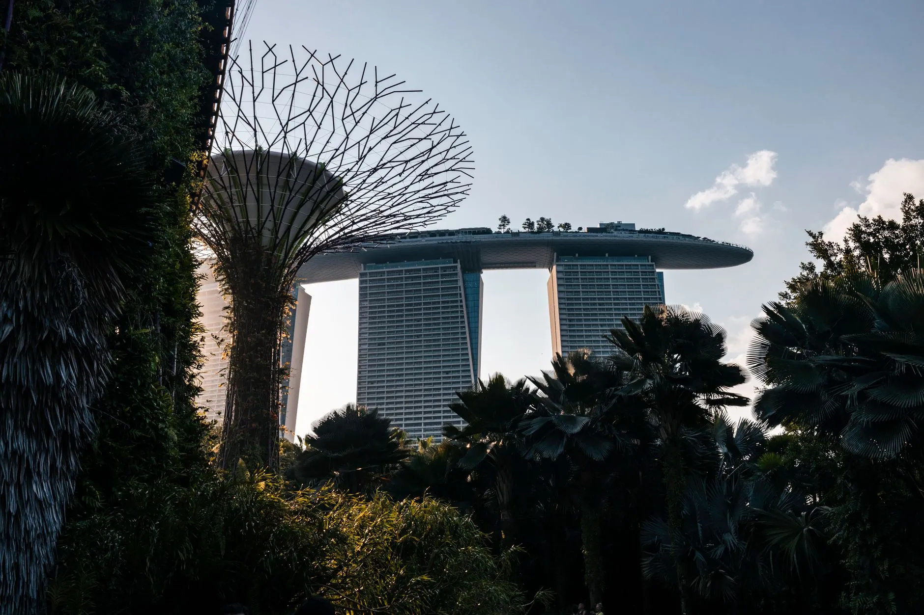 Urban skyline featuring Marina Bay Sands and Supertree Grove in Singapore's modern landscape.