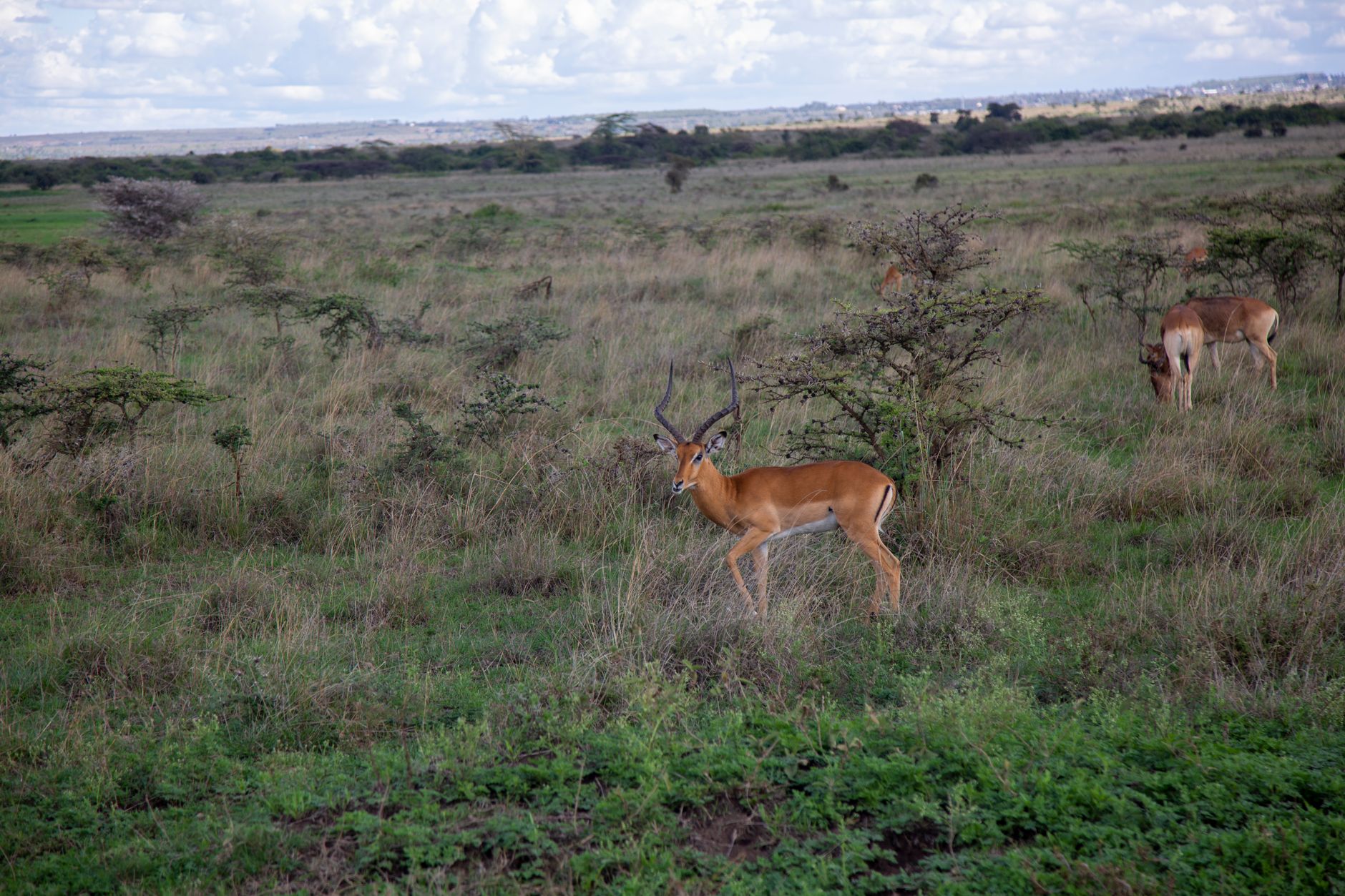 Nairobi landmark in Nairobi
