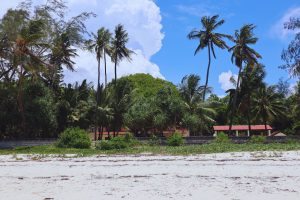 Zurich to Mombasa, Kenya from CHF 351
