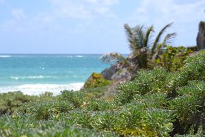 Toronto to Tulum, Mexico from C$326