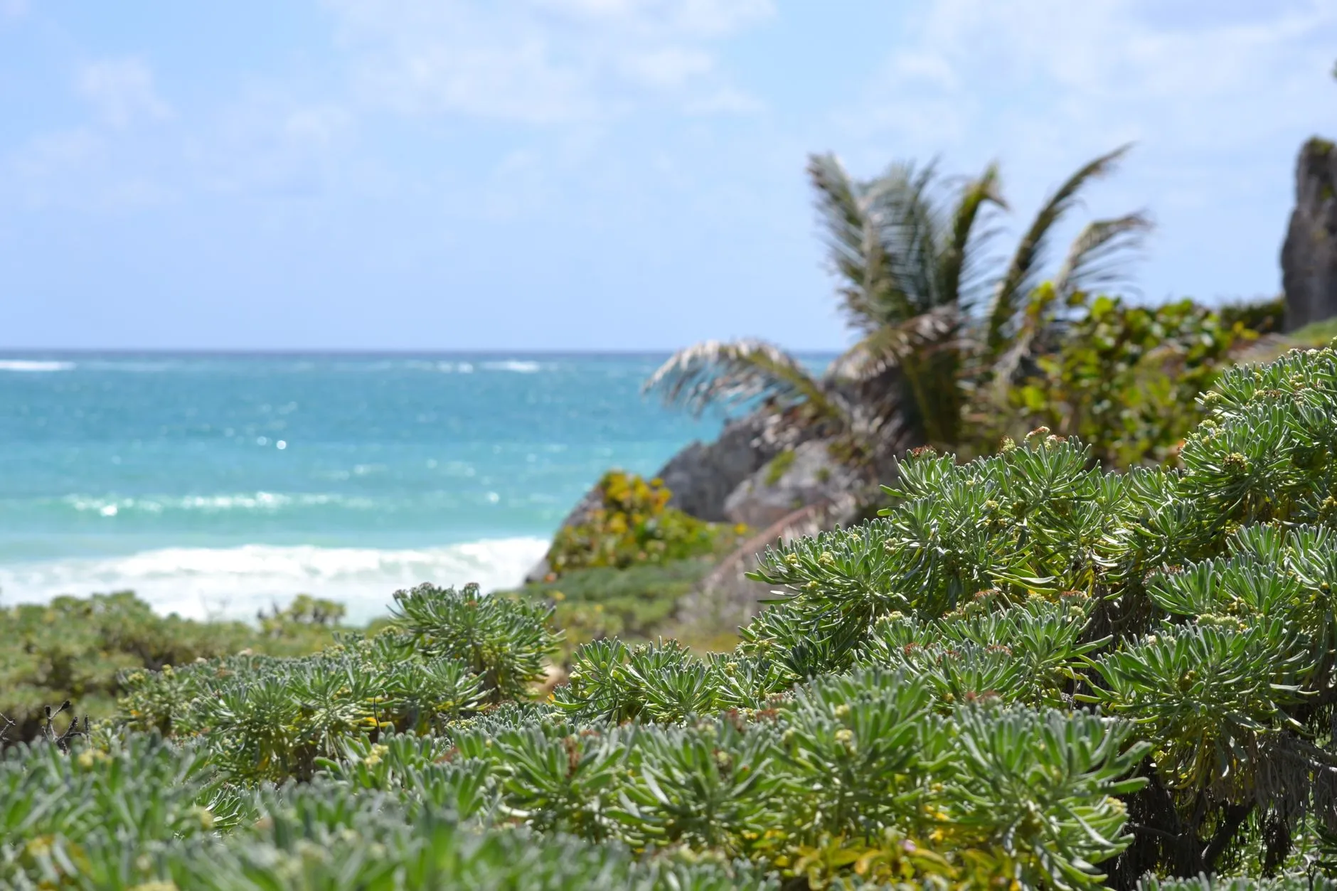 Tulum landmark in Tulum