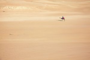 New York to Cairo, Egypt from $610