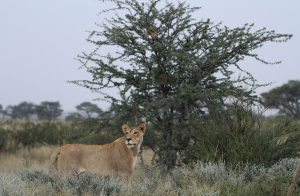 Vienna to Johannesburg, South Africa from €532