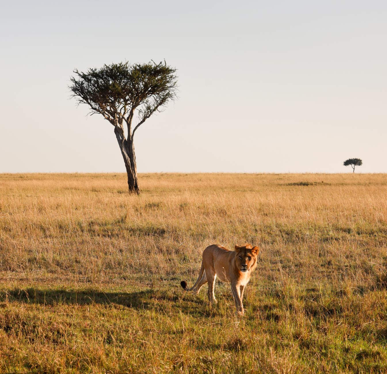 Nairobi landmark in Nairobi