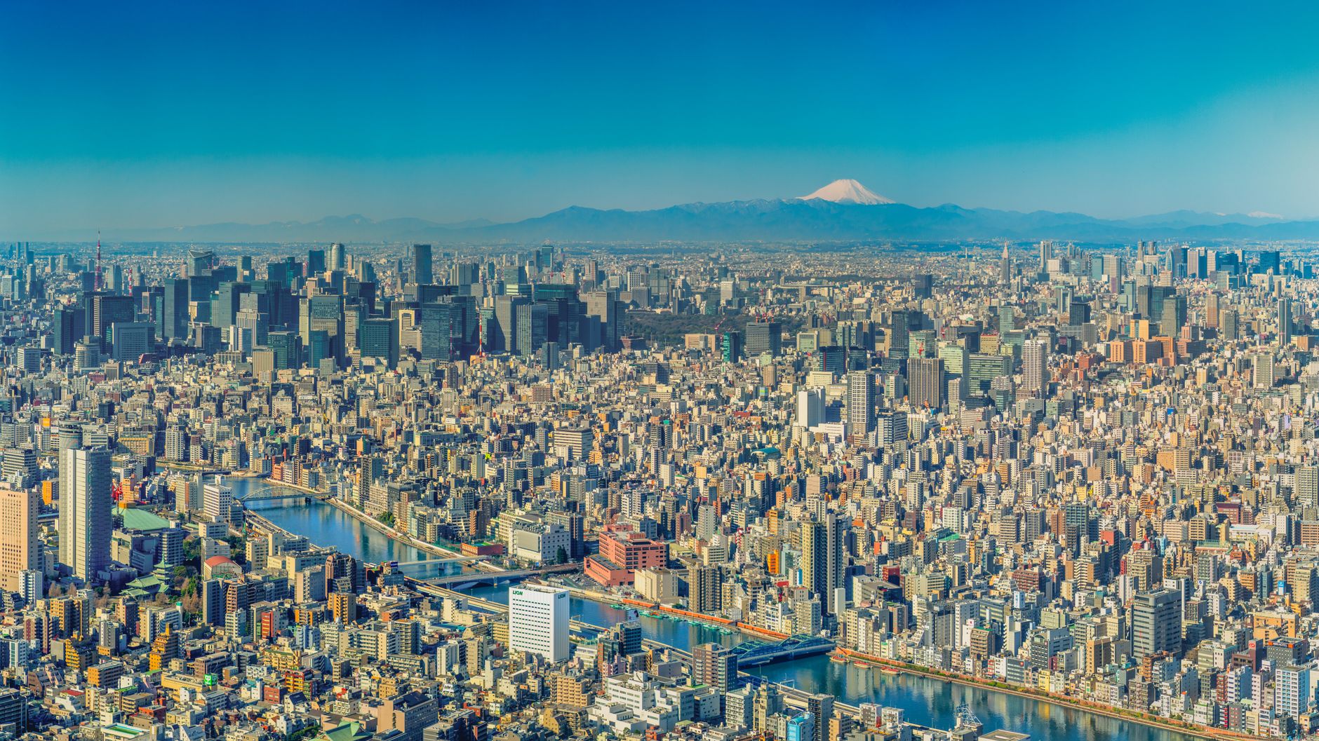 Tokyo cityscape with Mount Fuji in the distance