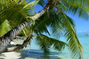 Sacramento to Papeete, French Polynesia from $543