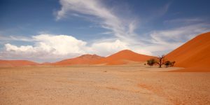 Oslo to Windhoek, Namibia from €459