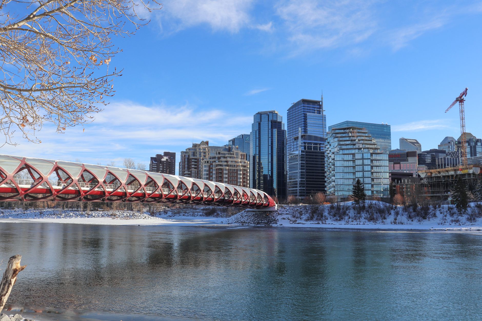 Calgary's Peace Bridge and downtown skyline