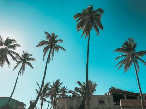 Verona to Abidjan, Cote d'Ivoire from €395