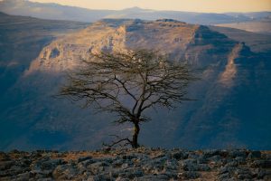 Warsaw to Addis Ababa, Ethiopia from €620