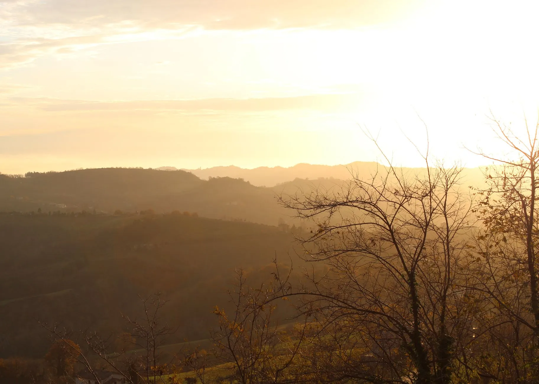 Marche, Italy — Golden sunset over Fermo hills with bare trees in Marche, Italy. Perfect for nature lovers.