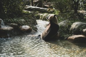 Amsterdam to Chengdu, China from €481