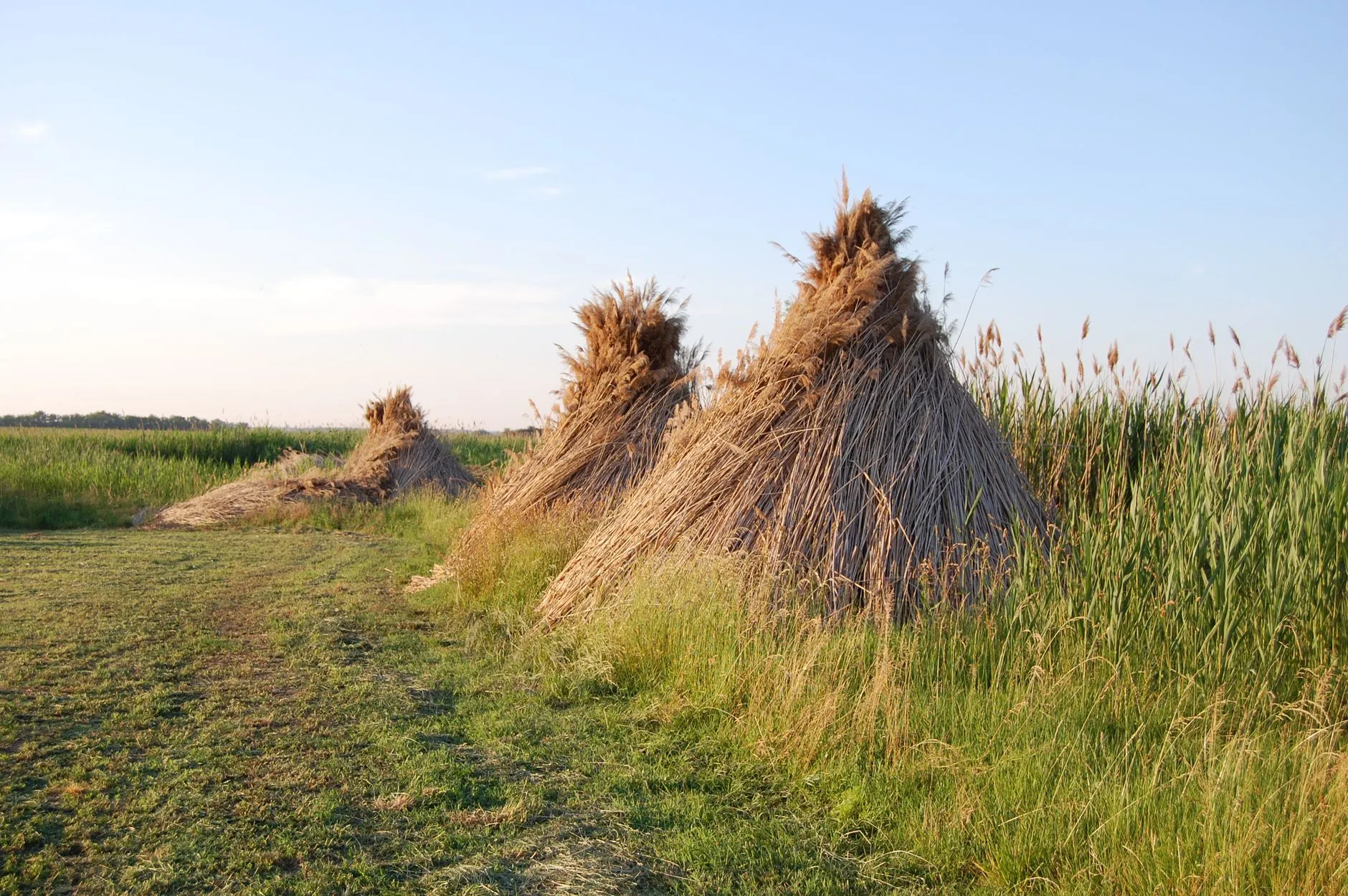 Debrecen, Hungary — Captivating summer view of haystacks in Hortobágy, Hungary's lush countryside.