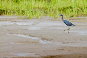 Miami to Guyana from $393