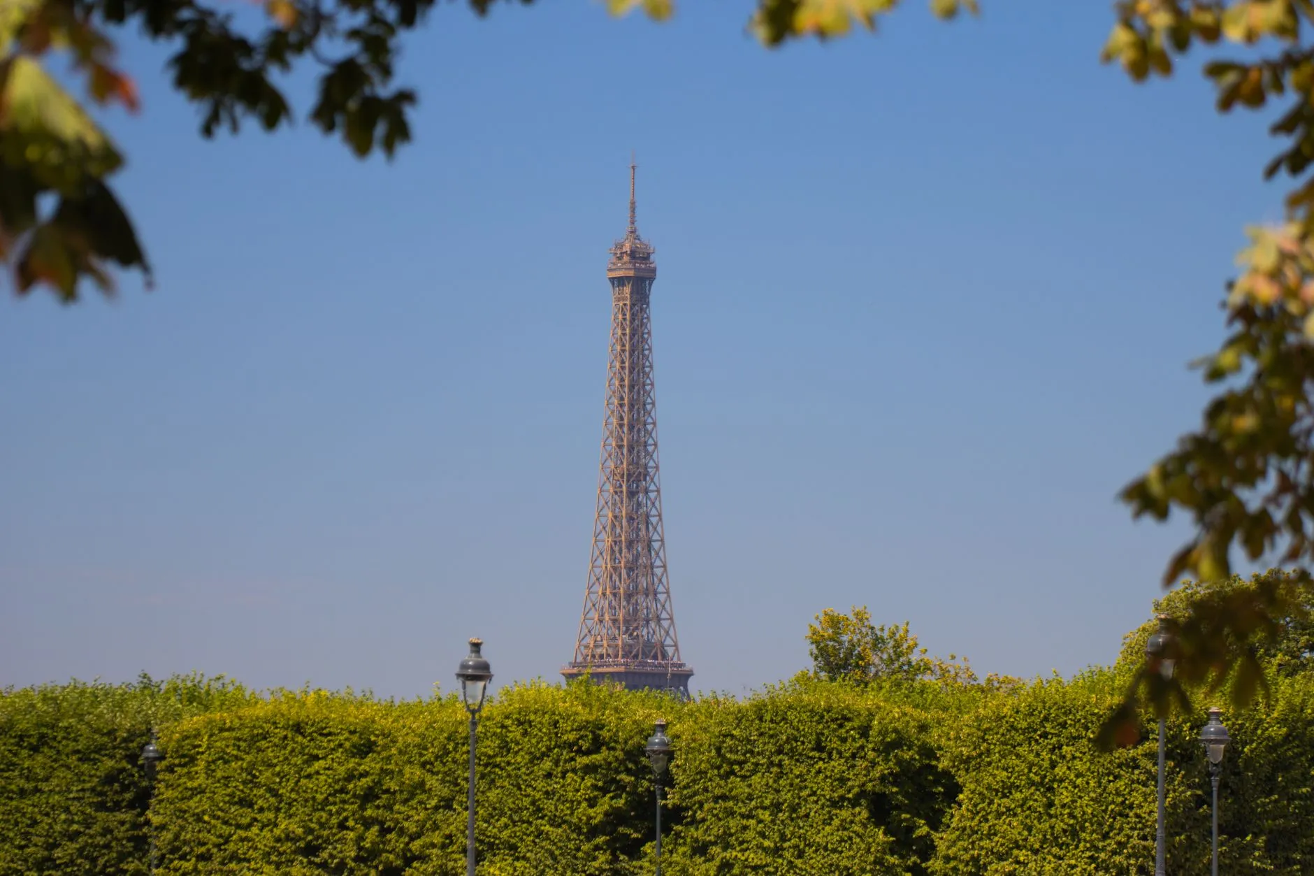 Scenic view of the Eiffel Tower framed by lush green trees against a clear blue sky in Paris, France.
