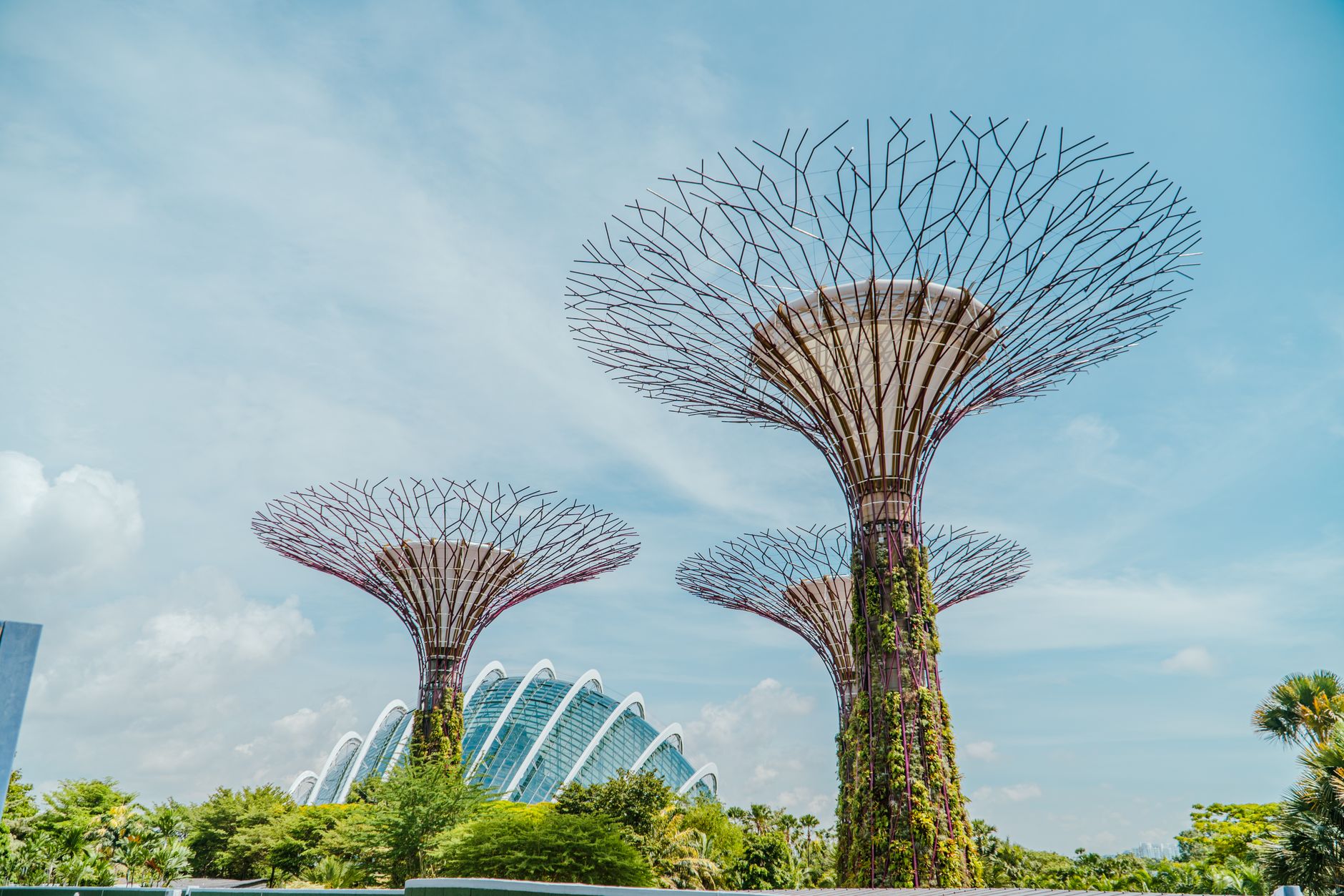 Singapore — the Supertree Grove at Gardens by the Bay under a clear sky, with the Flower Dome conservatory behind