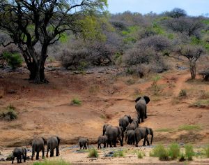 Helsinki to Johannesburg, South Africa from €567