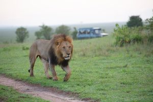 Milan to Nairobi, Kenya from €488