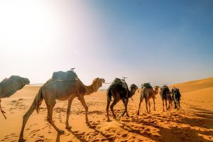 Toulouse to Nouakchott, Mauritania from €501