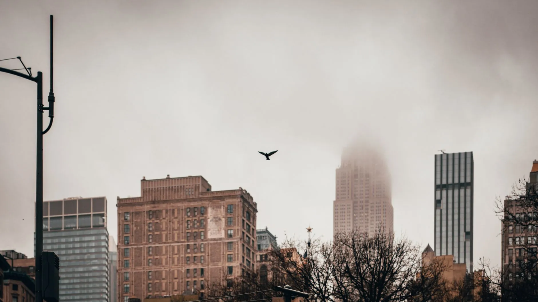 New York landmark in New York