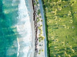 Boston to Santo Domingo, Dominican Republic from $336