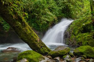 Toronto to San Jose, Costa Rica from C$478