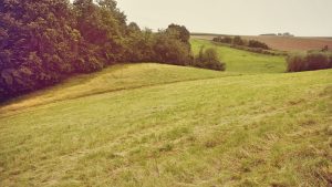 Szczecin Solidarity Goleniów (SZZ) Airport Guide 2026 — The Train Stops Outside