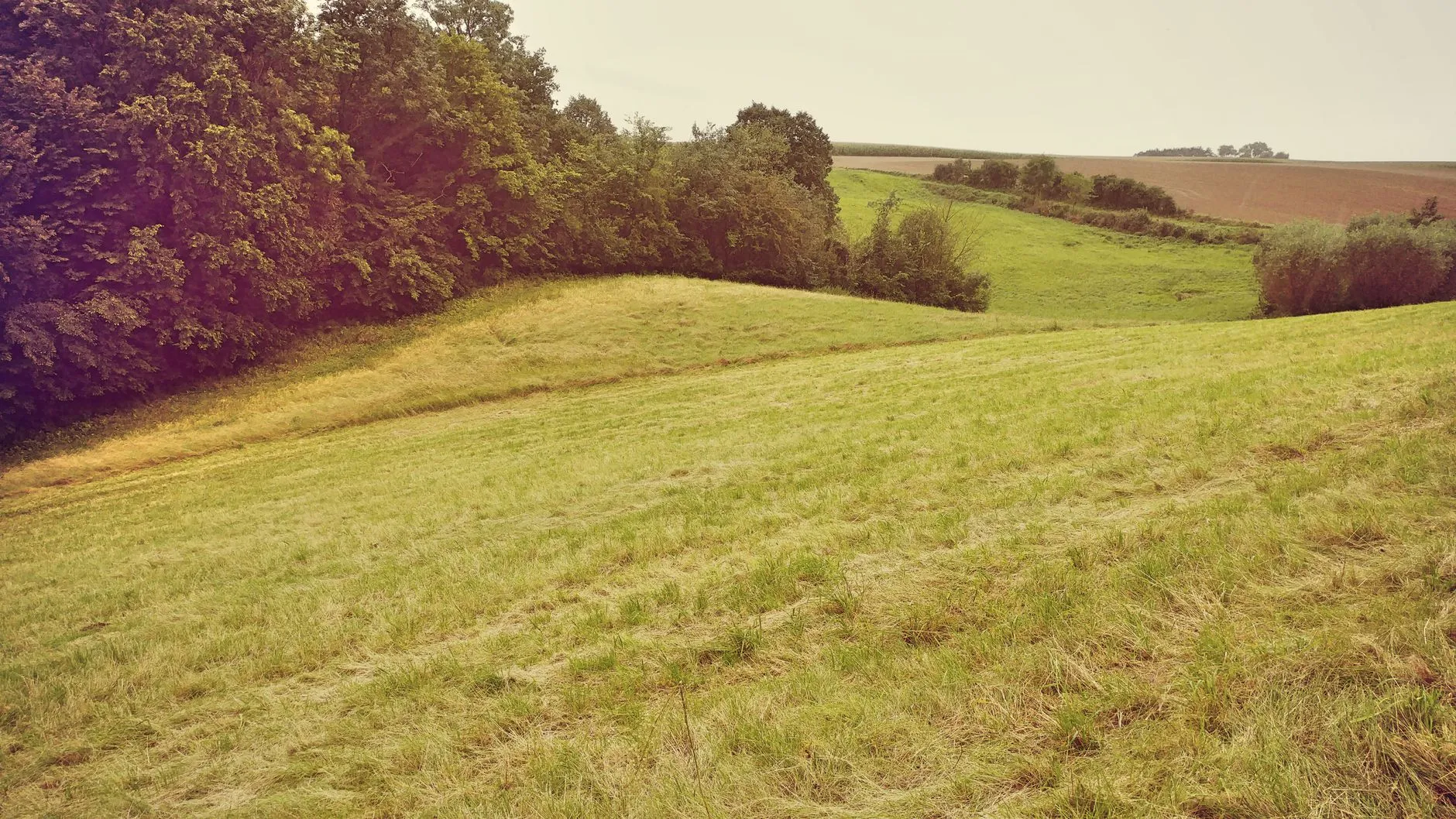 Poland