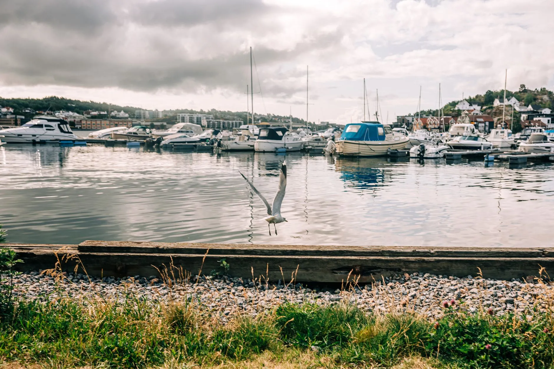 Vestfold, Norway — A scenic view of boats docked at Sandefjord harbor in Norway with a seagull flying above.