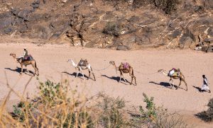 Amsterdam to Asmara, Eritrea from €596