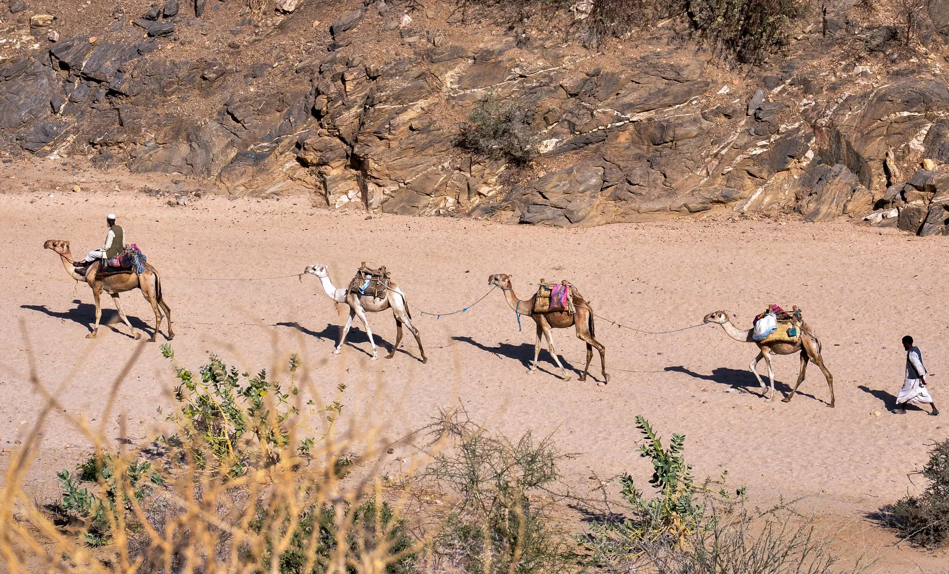 A camel caravan crossing a dry riverbed between rocky hills in the Horn of Africa